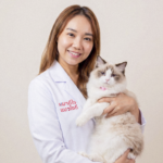 หมอเบส