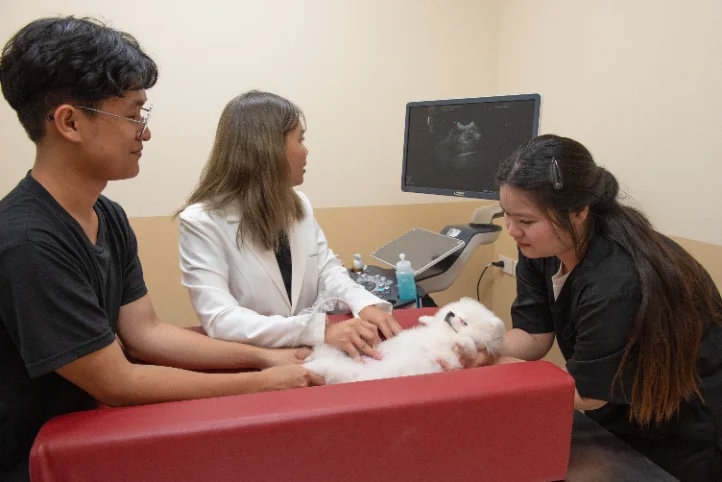 คลินิกอัลตร้าซาวน์ & ภาพวินิจฉัย