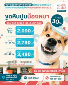 Dental Care 4,990-5,990฿ — ขูดหินปูน + X-ray ฟัน | 2H2C