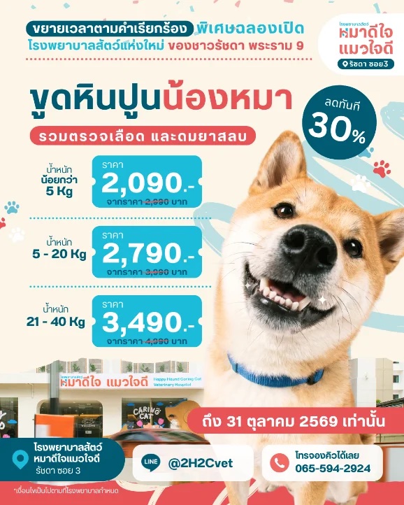 แพ็กเกจทันตกรรม