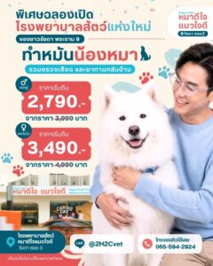 ทำหมัน “จ่ายจบ” + Pet Hotel 1 คืนฟรี