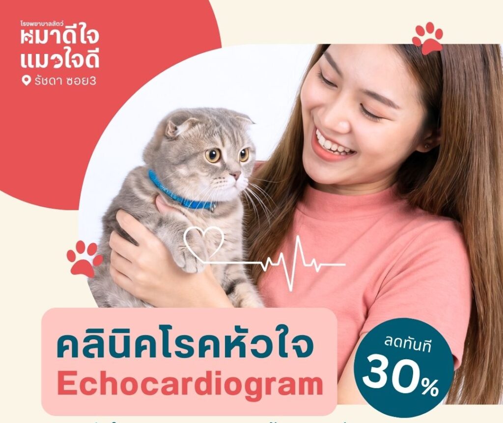 คลินิกโรคหัวใจ – Echocardiogram (อัลตราซาวด์หัวใจ) ลด 30%