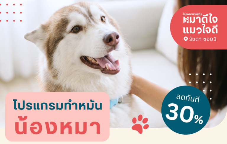 โปรแกรมทำหมันน้องหมา ลด 30%